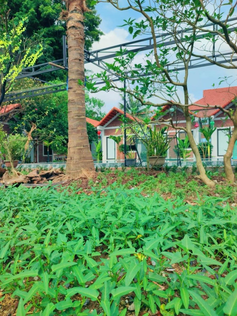 Trang An Natural Mountainside Homestay نينه بينه المظهر الخارجي الصورة