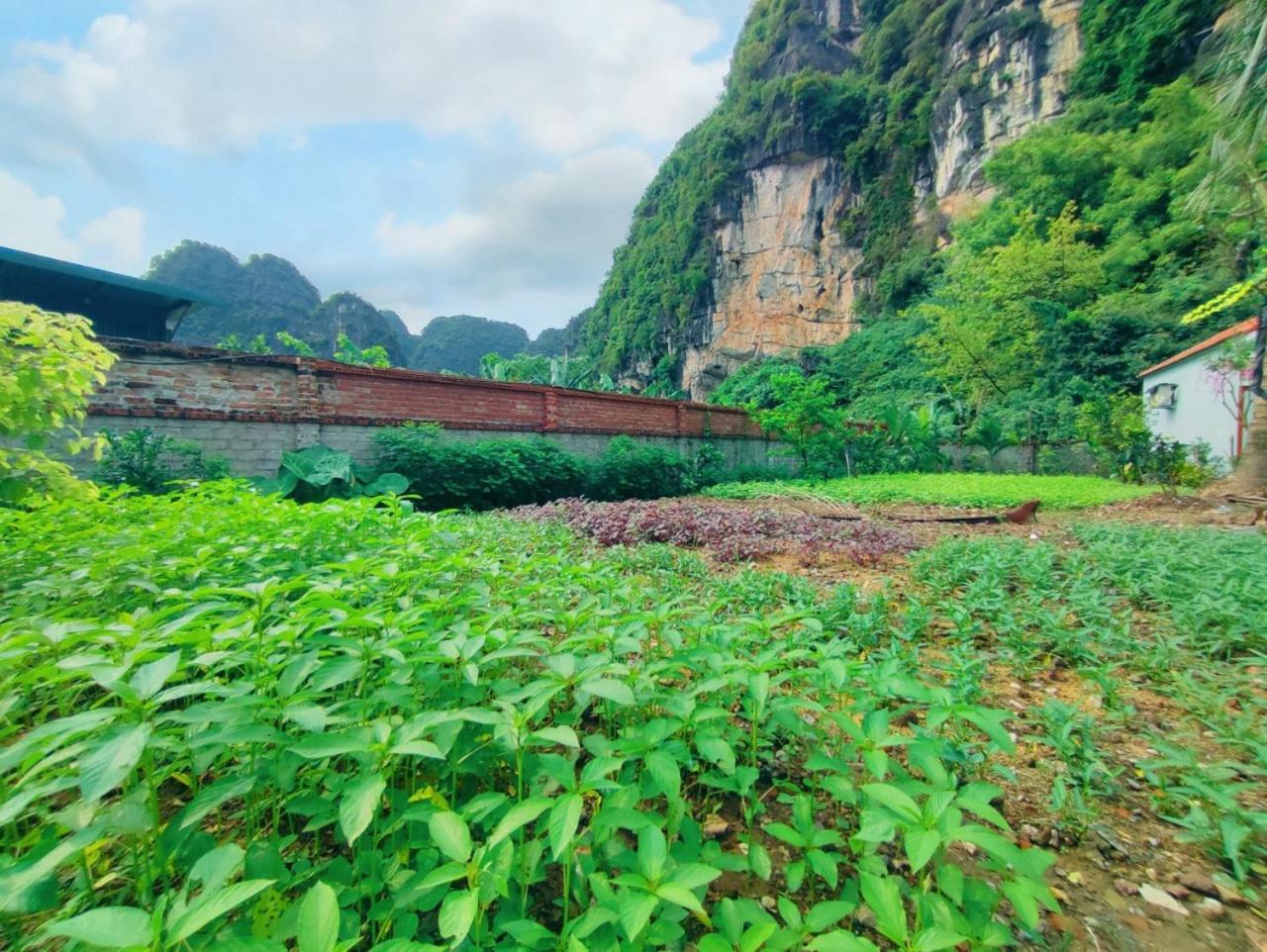 Trang An Natural Mountainside Homestay نينه بينه المظهر الخارجي الصورة