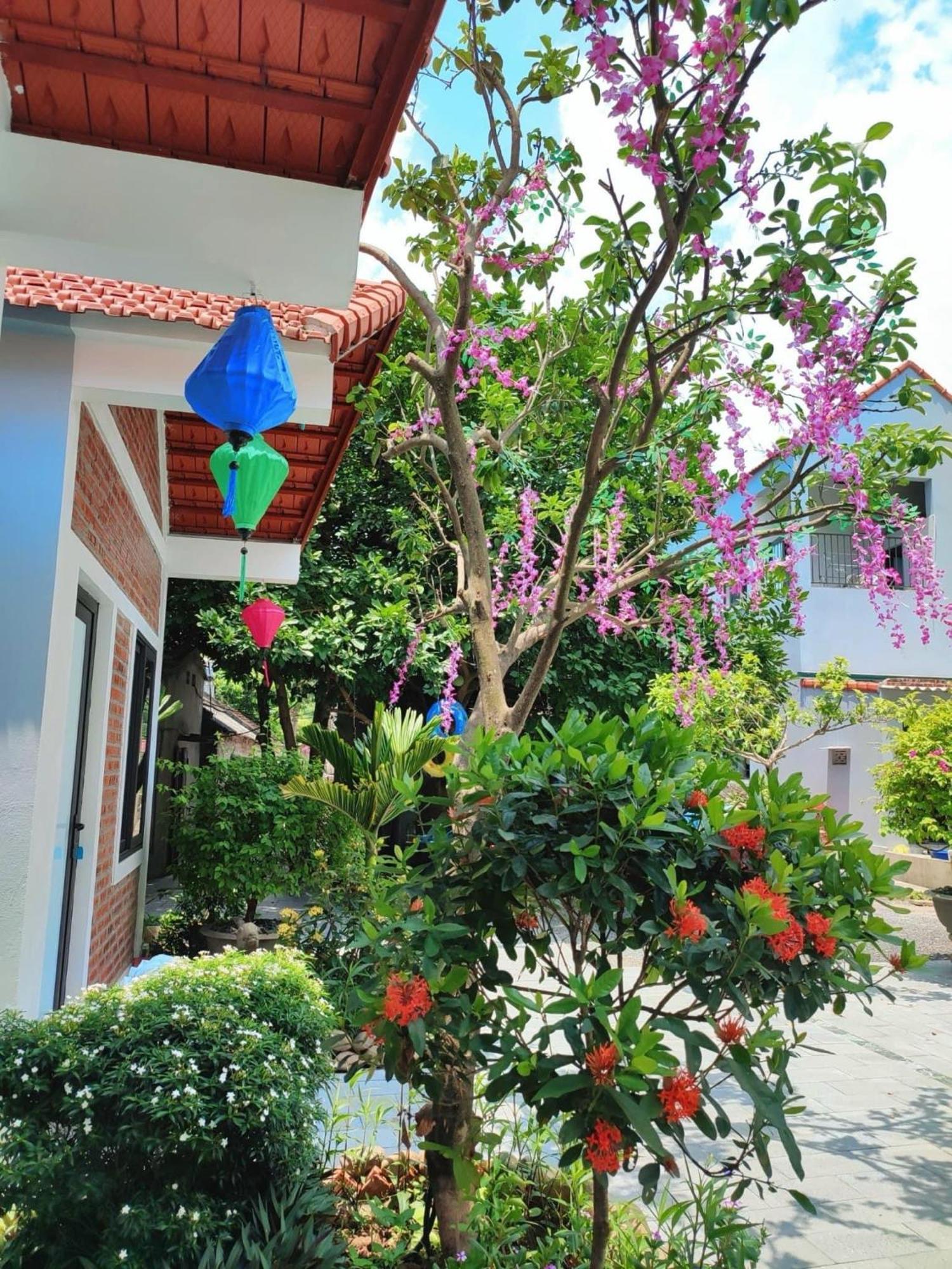 Trang An Natural Mountainside Homestay نينه بينه المظهر الخارجي الصورة